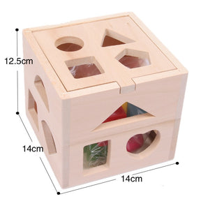 Wooden Shape Sorter