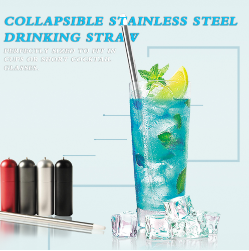 Reusable Stainless Steel Straw