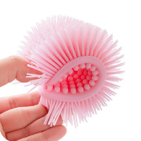 Massage Brush / Bath Brush