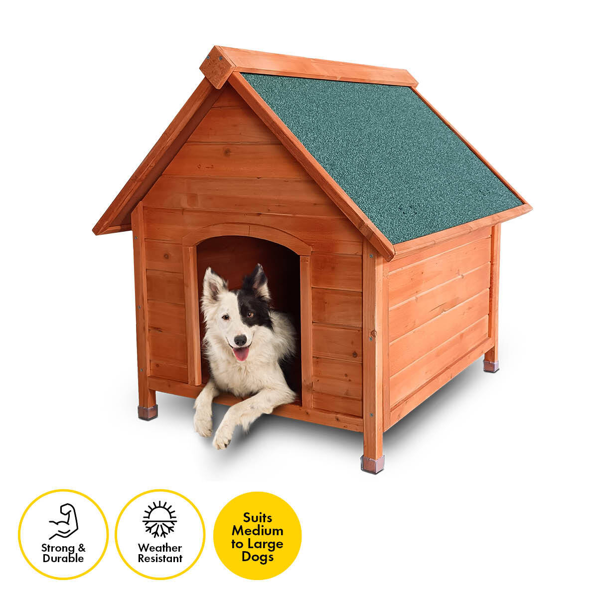 Pet Basic Dog Kennel A Frame Weather Resistant Timber Elevated Base 103cm